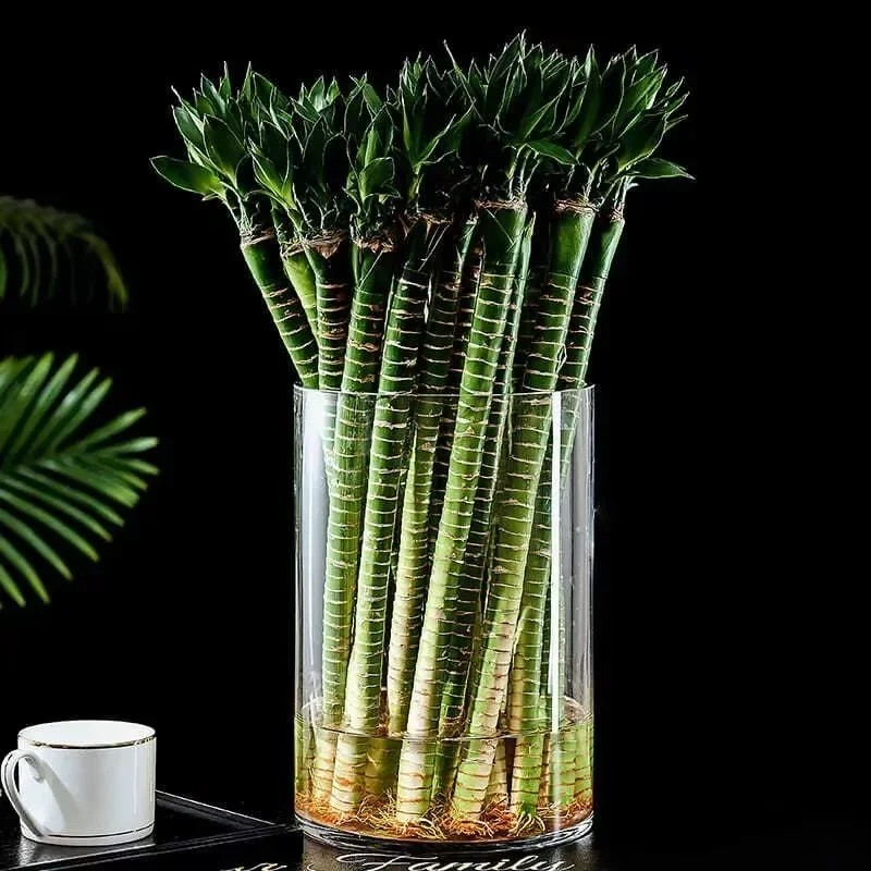 Home Decor Vase With Flowers - 2/4pc Acrylic Cylinder Vase Transparent Straight