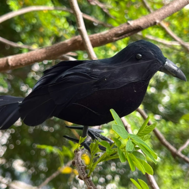 1PC Lifelike Black Crow Decor  - Home Decor Garden 评论和价格