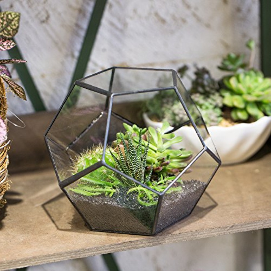 Glass Terrarium for indoor hom - Home Decor Garden Ideas 评论和价格