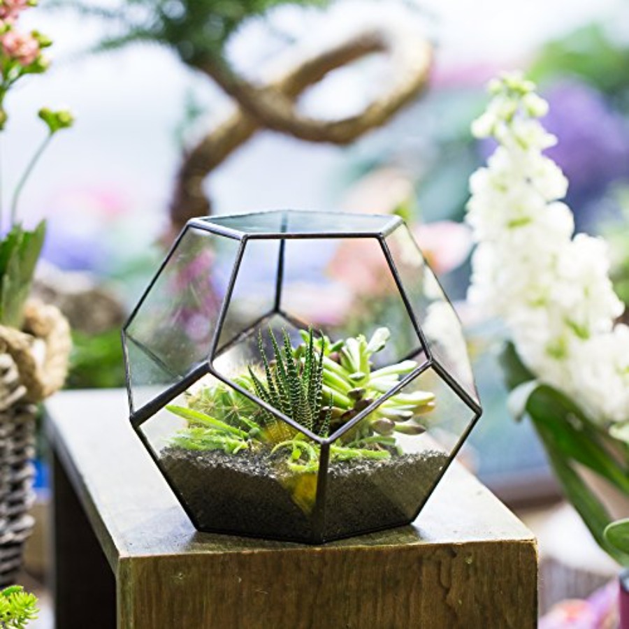 Glass Terrarium for indoor hom - Home Decor Garden Ideas 评论和价格