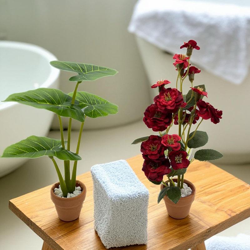 1Pcs Dollhouse Philodendron Mi - Home Decor Garden 评论和价格