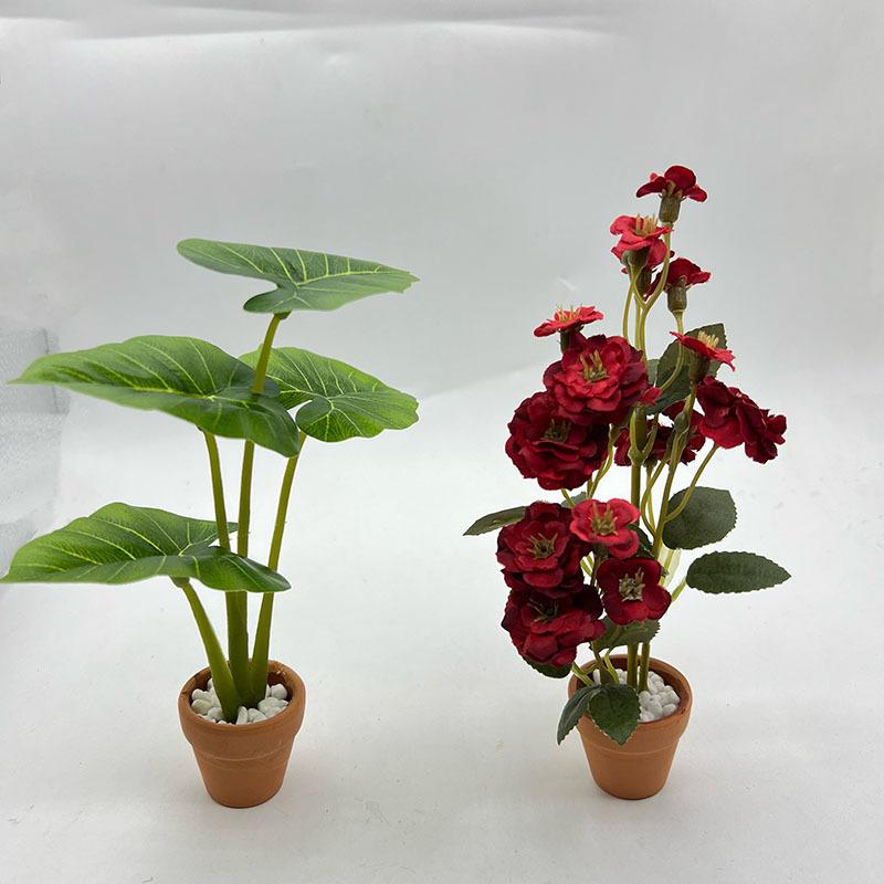 1Pcs Dollhouse Philodendron Mi - Home Decor Garden 评论和价格