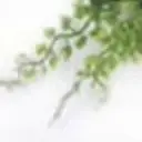 60X40CM Artificial Green Wall  - Home Decor Wall Panels 评论和价格