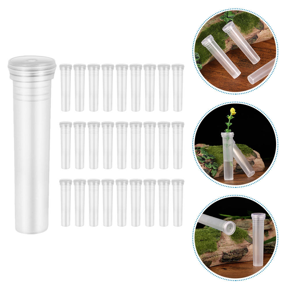 100Pcs Transparent Hydroponic  - Home Decor Vase With Flowers 评论和价格